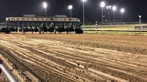 Sam houston race park is houston's premier racing, dining and entertainment destination located 15 minutes from downtown. Camel Races Sam Houston Race Park