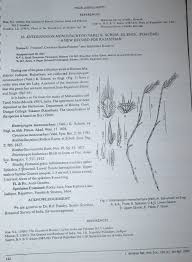 Image result for Enteropogon monostachyos