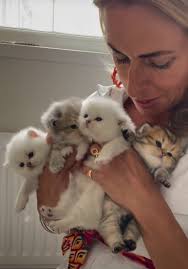 Another vintage feel one