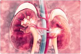 Each kidney is comprised of about a million filtering systems called nephrons. Chronic Kidney Disease Diagnosis
