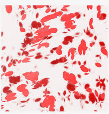We did not find results for: Png Falling Flower Petals Picture Black And White Flower Petals Anime Png Png Image Transparent Png Free Download On Seekpng