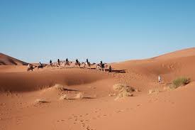 Do not use url shorteners/redirects. Backpacking Egypt Top Tips Itineraries Costs 2020 Hostelworld