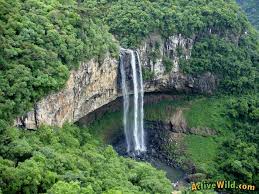 Describe the climatic characteristics of rainforests? What Is A Tropical Rainforest Definition Location Pictures And Facts