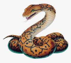 Snakes are elongated, legless, carnivorous reptiles of the suborder serpentes that can be distinguished from legless lizards by their lack of eyelids and external ears. Hd Snake Clipart Boa Snake Png Transparent Png Transparent Png Image Pngitem
