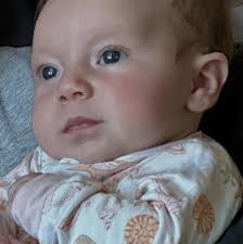 After nearly a month in a Greek hospital fighting for her life, Owensboro  teacher Christie Humphrey is finally returning home. She's expected to  arrive at Vanderbilt University Medical Center in Nashville by