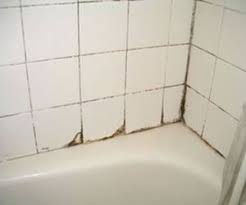 Kimyasal temizleyici kullanmak istemiyorsanız beyaz sirke ve. Banyoda Bulunan Kuf Lekelerini Cikarmak Icin Neler Yapilmalidir Bathtub Bathroom Alcove Bathtub
