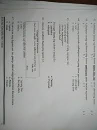 Baca surat al waqi'ah lengkap bacaan arab, latin & terjemah indonesia. Tolong Jawap Yajaqqjsjzjdj Brainly Co Id