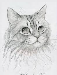 Pin By Marian Van Zyl On Drawing In 2020 Cats Art Drawing Animal Drawings Sketches Animal Drawings