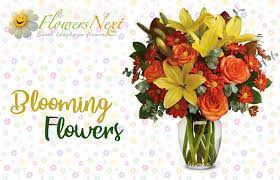 Send flowers to philippines from dubai. Send Flowers To Philippines From Dubai