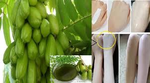 Ada 2 cara untuk mengambil manfaat dari buah ini. Ingin Kulit Putih Putih Bersih Dan Berseri Sepanjang Hari Belimbing Wuluh Solusinyi Hanya Semalam Mampu Merubah Kulit Yang Hitam Menjadi Lebih Putih Begini Caranya Sorot Viral