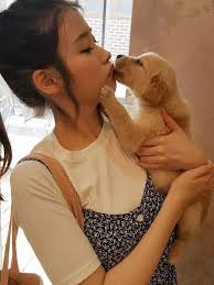 View Full Size 640x853 168 Kb Puppy Care Cute Korean Puppies