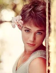 Two Gorgeous photos of our Julie Andrews. Love Love Love Julie Andrews 🌺