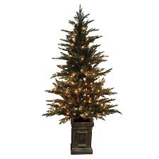 Holiday Living 5 5 Ft Pre Lit Serbian Spruce Full Rightside Up Artificial Christmas Tree White C Pre Lit Christmas Tree Incandescent Lights Christmas Tree Shop