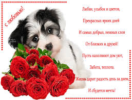 Ветеринар — это врач, который лечит животных, совсем как доктор айболит в известной сказке. Otkrytka So Stihom S Dnem Veterinara Skachat Besplatno Na Kartinok Ru