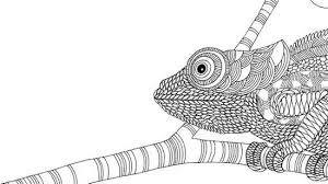 Moeilijke kleurplaten voor volwassenen, dit keer met het thema dieren. Tekening Dieren Moeilijk