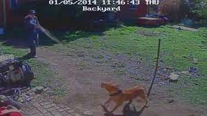 Police Officer Pepper Sprays And Taunts Chained Up Dog Daily Mail Online