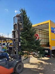 Shop the latest collections now. 14 Foot Christmas Tree