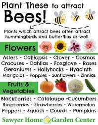 Plant These To Attract Bees How To Attract Hummingbirds Attracting Bees Plants To Attract Bees