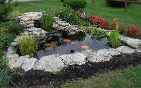 Diy Backyard Pond Kits Givdo Home Ideas Making Safe Backyard With Backyard Pond Kits