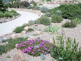 Maybe you would like to learn more about one of these? Pueblo West Xeriscape Demonstration Garden Pueblo West Plant Select