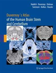 Of brainstem nuclei relevant to the present study is. Duvernoy S Atlas Of The Human Brain Stem And Cerebellum Springerlink