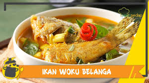 Bukan hanya sedap, tetapi juga cocok untuk semua anggota keluarga. Resepi Ikan Kerapu Bumbu Woku Pawtaste Com