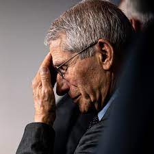 Fauci pitch gif anthony fauci gif animated facepalm fauci laughing gif hard facepalm gif loki facepalm facepalm giphy facepalm cartoon fauci facepalm meme facepalm face sisko facepalm dr. Medical Expert Who Corrects Trump Is Now A Target Of The Far Right The New York Times