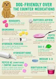 Pin By Lynna Nguyen On Miscellaneous Baby Aspirin For Dogs Meds For Dogs Dog Friends