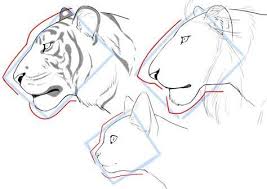 10 Wonderful Tips And Techniques For Realistic Colored Pencil Artists Ideas Animal Drawings Face Drawing Drawing Tutorial