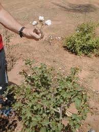 Pin On Carnet De Voyage Senegal