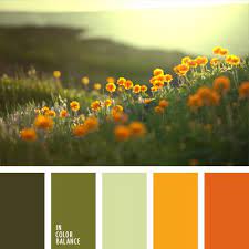 In Color Balance Podbor Cveta Stranica 94 Orange Color Palettes Color Palette Color Schemes