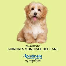 La ricorrenza è stata festeggiata per la prima volta negli stati uniti nel 2004, grazie all'impegno di colleen paige, esperta di animali domestici. Centro Commerciale Rondinelle 26 Agosto Giornata Mondiale Del Cane I Vostri Migliori Amici Festeggiateli Oggi Postate Nei Commenti Al Post Una Foto O Video Del Vostro Cagnolino Ccrondinelle Dogday Facebook