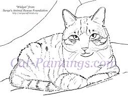 The calico cat is most commonly thought of as being typically 25% to 75% white with large orange and black patches. Realistic Calico Cat Coloring Pages Novocom Top