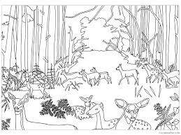 Check spelling or type a new query. Forest Animals Coloring Pages Animal Printable Sheets Forest Animals 13 2021 2192 Coloring4free Coloring4free Com