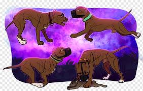 We did not find results for: Anjing Ras Maltese Anjing Bolognese Anjing Havanese Italia Greyhound Mengejar Mimpi Mamalia Karnivora Anjing Suka Mamalia Png Pngwing