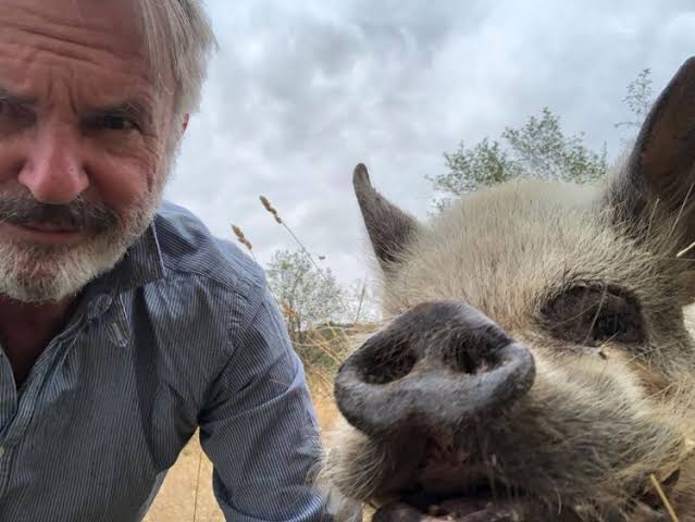 Star of Jurassic Park And His Farm Friends - American Farmhouse Style