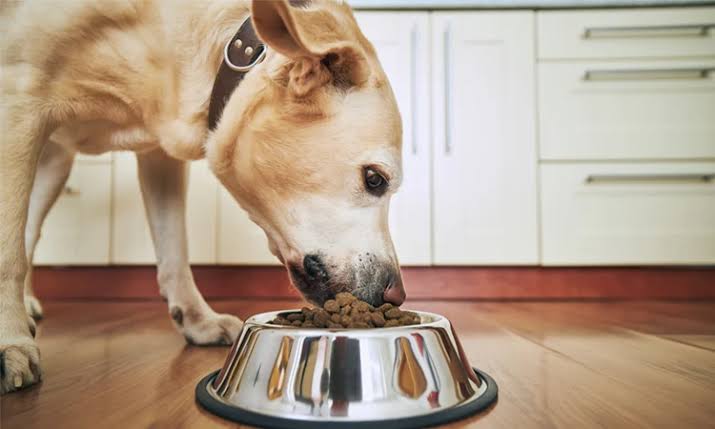 A alimentação correta previne problemas graves de saúde, AI generated