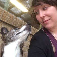 About us — Blue Dingo Dogs