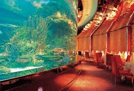 Dubai Aquarium Restaurant Google For More Fantastic Images Burj Al Arab Underwater Hotel Underwater Restaurant
