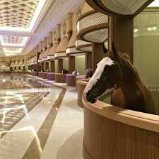 Cute horses pretty horses horse love beautiful horses animals beautiful horse photos horse pictures dapple grey horses gray horse. They Built A Luxury Marble Palace For Horses In China Funny Horses Horse Stables Dream Horse Barns