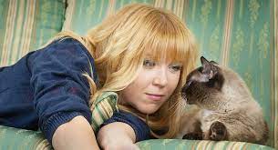 Do Cats Recognize Their Owners How Do Cats See Humans