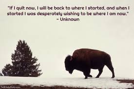 Quote About Perseverance Not Quitting Self Help Daily Perseverance Quotes Quitting Quotes Dont Quit Quotes