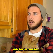 How Did We End Up Like This? 😅