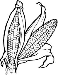 Corn on the cob, , image information. Vegetable Coloring Pages Best Coloring Pages For Kids