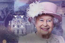 Newsletter • Term 3 • Issue 13, 21 September 2022