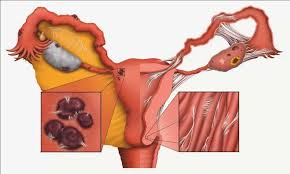 Check spelling or type a new query. ØªØ¹Ø±ÙŠÙ Ø§Ù„Ø·Ø§Ø¨Ø¹Ø©2015d Bone Cross Section Cross Sectional Anatomy Kenhub Ù‚Ø¯ ÙŠØªØ³Ø§Ø¡Ù„ Ø§Ù„Ø¨Ø¹Ø¶ ÙƒÙŠÙ Ø£Ù‚ÙˆÙ… Ø¨Ø­Ø°Ù ØªØ¹Ø±ÙŠÙ Ø§Ù„Ø·Ø§Ø¨Ø¹Ø© Ù†Ù‡Ø§Ø¦ÙŠØ§ Ù…Ù† Ø¬Ù‡Ø§Ø² Ø§Ù„Ø­Ø§Ø³ÙˆØ¨ ÙˆØ¹Ø¯Ù… Ø¸Ù‡ÙˆØ±Ù‡Ø§ Ø«Ø§Ù†ÙŠØ© ÙÙŠ Ø§Ù„Ø£Ø¬Ù‡Ø²Ø© ÙˆØ§Ù„Ø·Ø§Ø¨Ø¹Ø§Øª Devices And Printers Increadibly96
