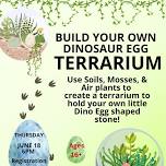 Adult Terrarium