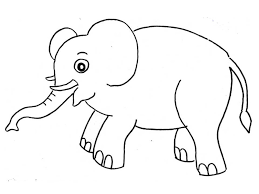 Sketsa wajah pensil di kertas a4(21x30cm) pemesanan: 17 Sketsa Gambar Gajah Mudah Dan Lengkap Beserta Caranya