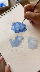 frieda park (prinsessefrieda)