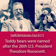 Teddybear Theodoreroosevelt Tr Teddyroosevelt Roosevelt Teddy Bear Stuffedbears President Factoftheday Teddy Bear Quotes Teddy Roosevelt Bear Quote